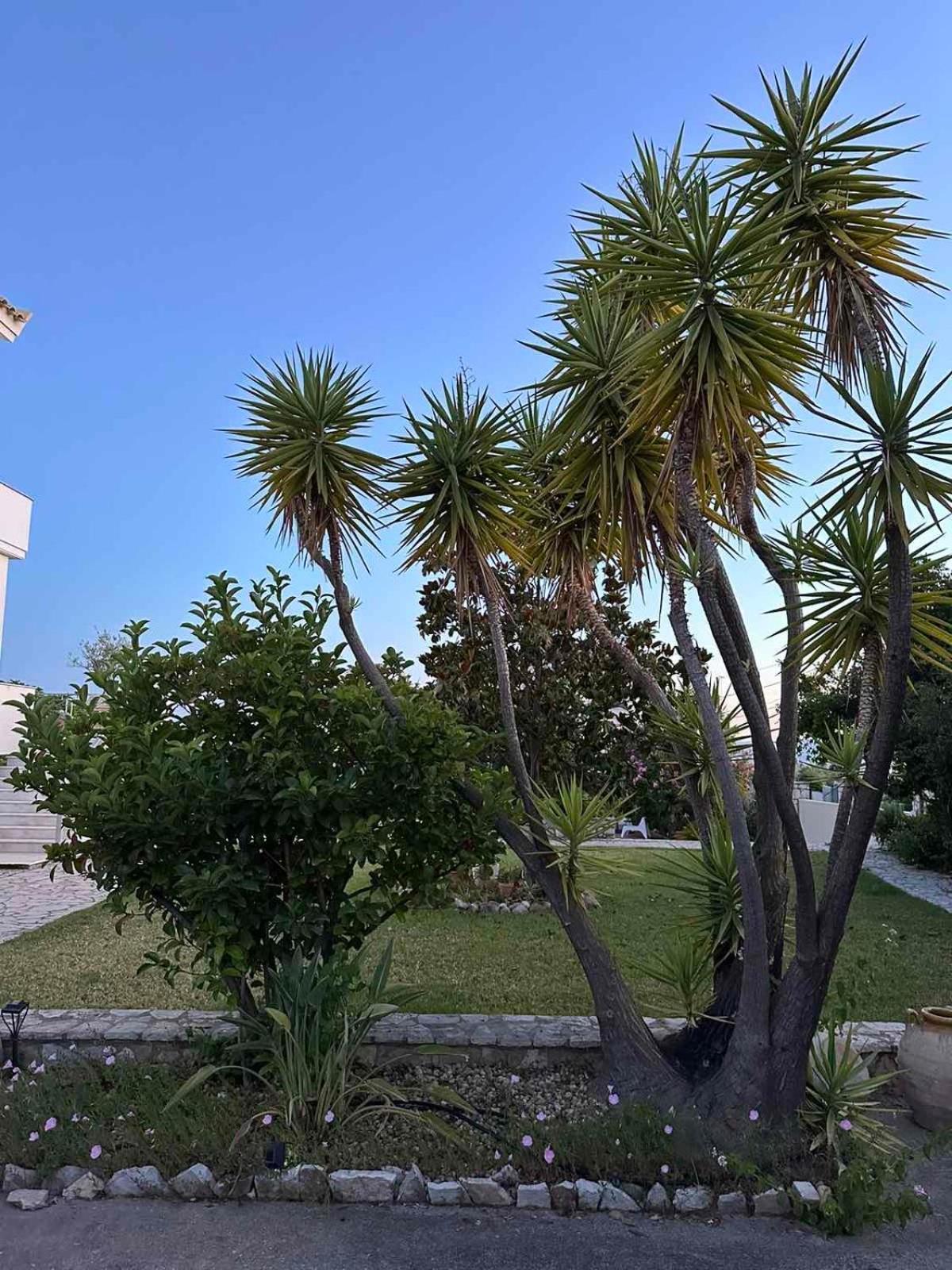Anamnesis. Feel The Mediterranean. Kalamata Exteriör bild