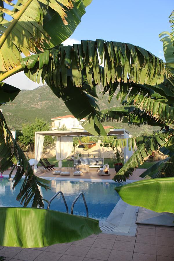 Anamnesis. Feel The Mediterranean. Kalamata Exteriör bild